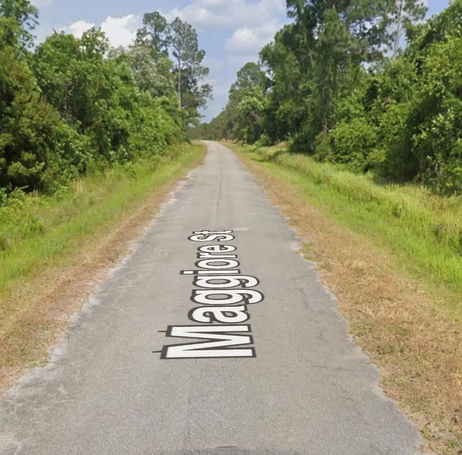 7930 Maggiore Street, Sebring, FL 33872 - #3