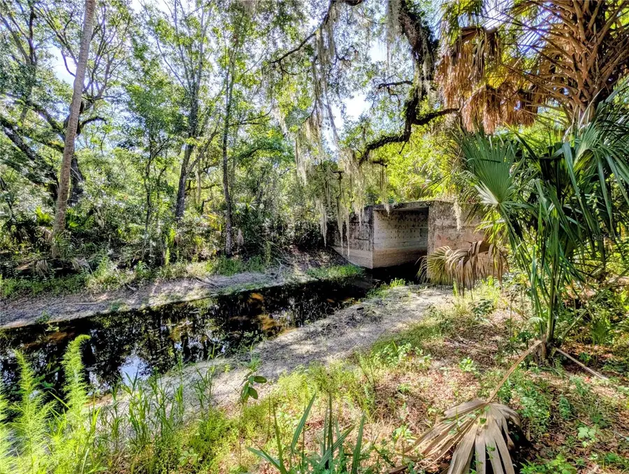 1495 N Toro Drive, Inverness, FL 34453 - #2