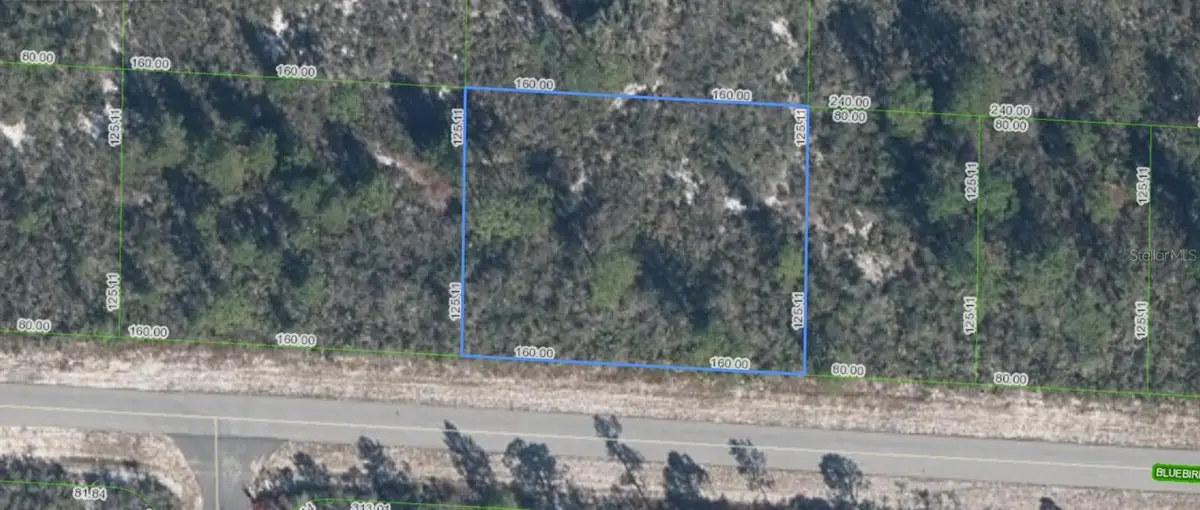 3427 Bluebird Avenue, Lake Placid, FL 33852 - #1