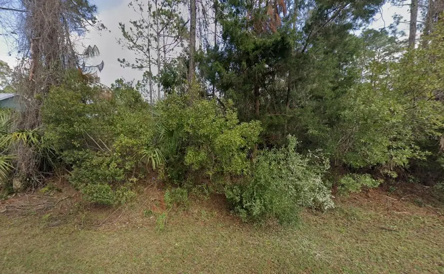 32 Serbian Bellflower Trail, Palm Coast, FL 32164 - #2