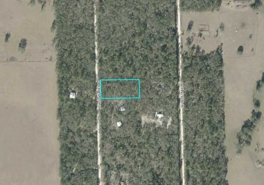 Se Wild Turkey Road, Branford, FL 32008 - #2