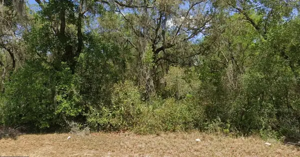 21175 SE 142nd Lane, UMATILLA, FL 32784