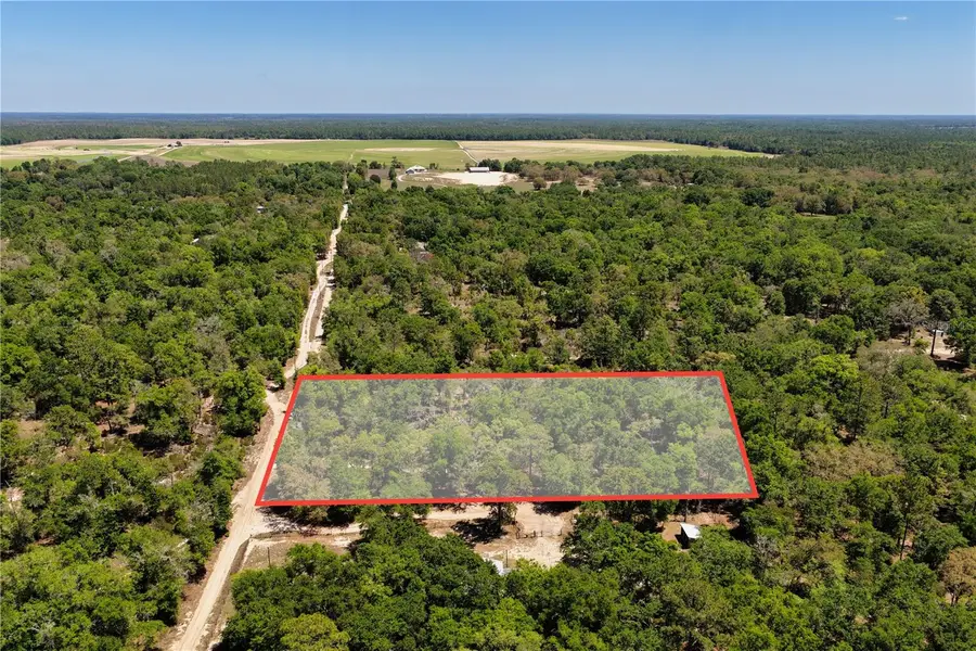 NE 125th Street, Bronson, FL 32621 - #2