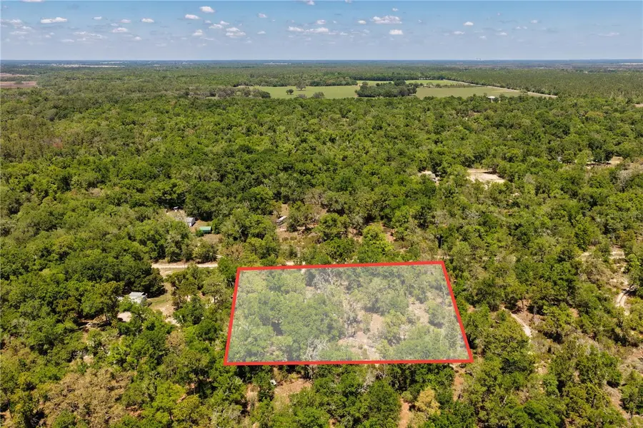 NE 125th Street, Bronson, FL 32621 - #3