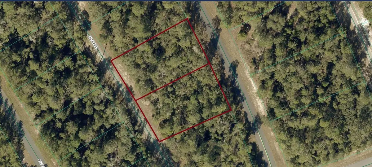 8002-0009-06 & 07 Alley Road, Ocala, FL 34473 - #1