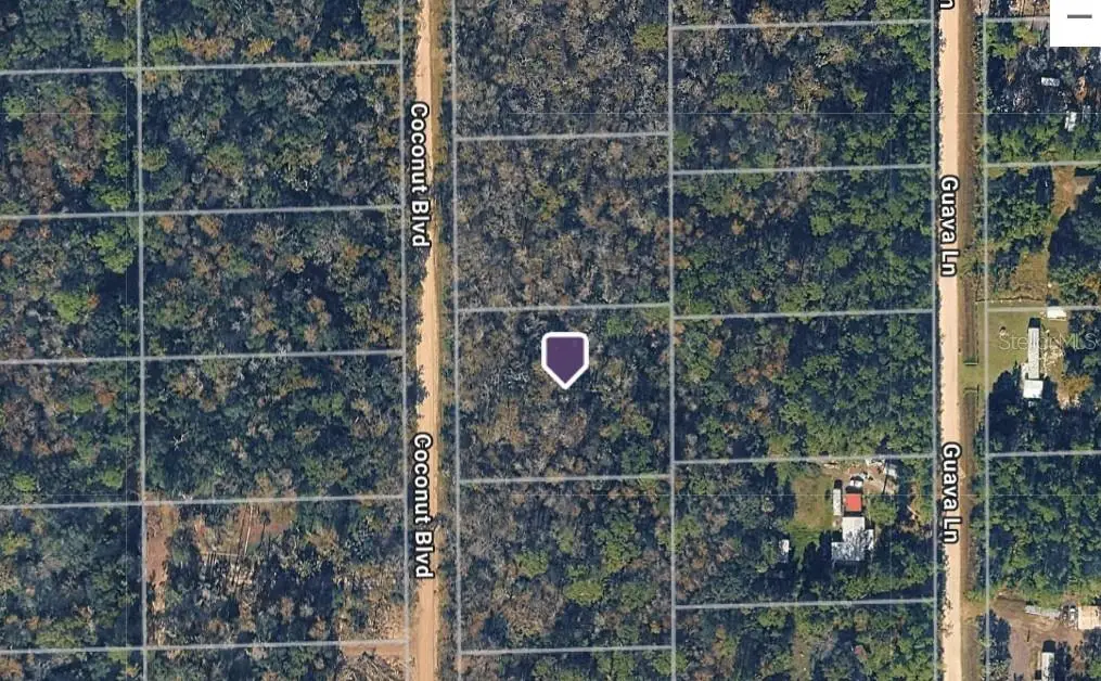 1743 Coconut Boulevard, Bunnell, FL 32110 - #1