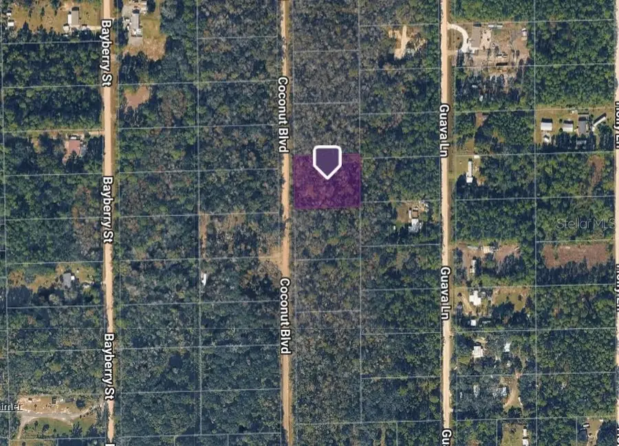 1743 Coconut Boulevard, Bunnell, FL 32110 - #2