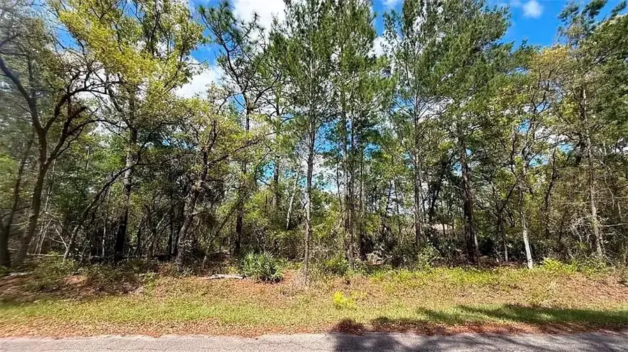 76 Fisher Run Terrace, Ocklawaha, FL 32179 - #3