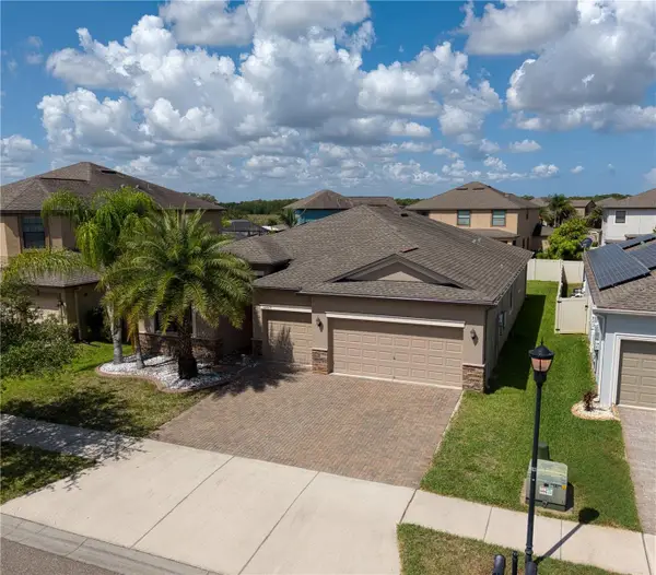10009 Celtic Ash Drive, RUSKIN, FL 33573