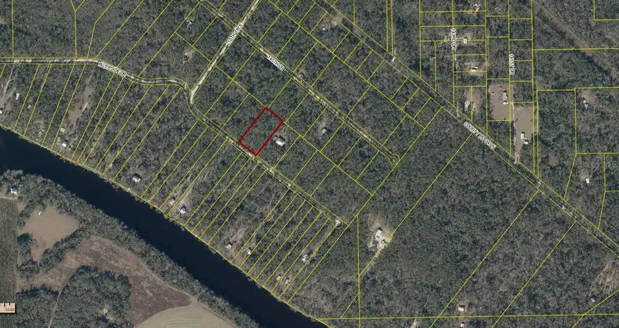07-05-S-13E-09108-040320 Riverside Drive, Suwannee, FL 32071 - #2