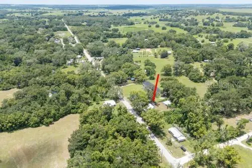 37315 Trilby Road, Dade City, FL 33523 - #3