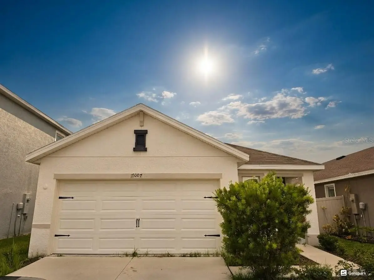 17007 Blister Wing Drive, Wimauma, FL 33598 - #1