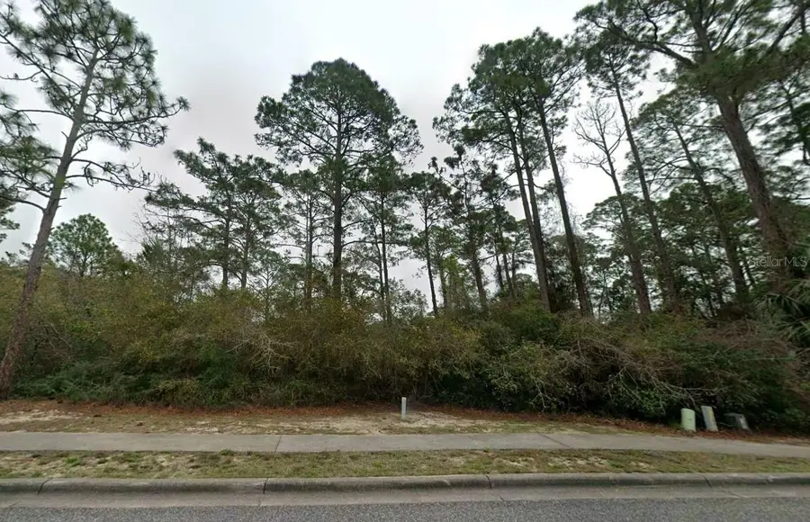 126 Laughing Gull Lane, Carrabelle, FL 32322 - #2