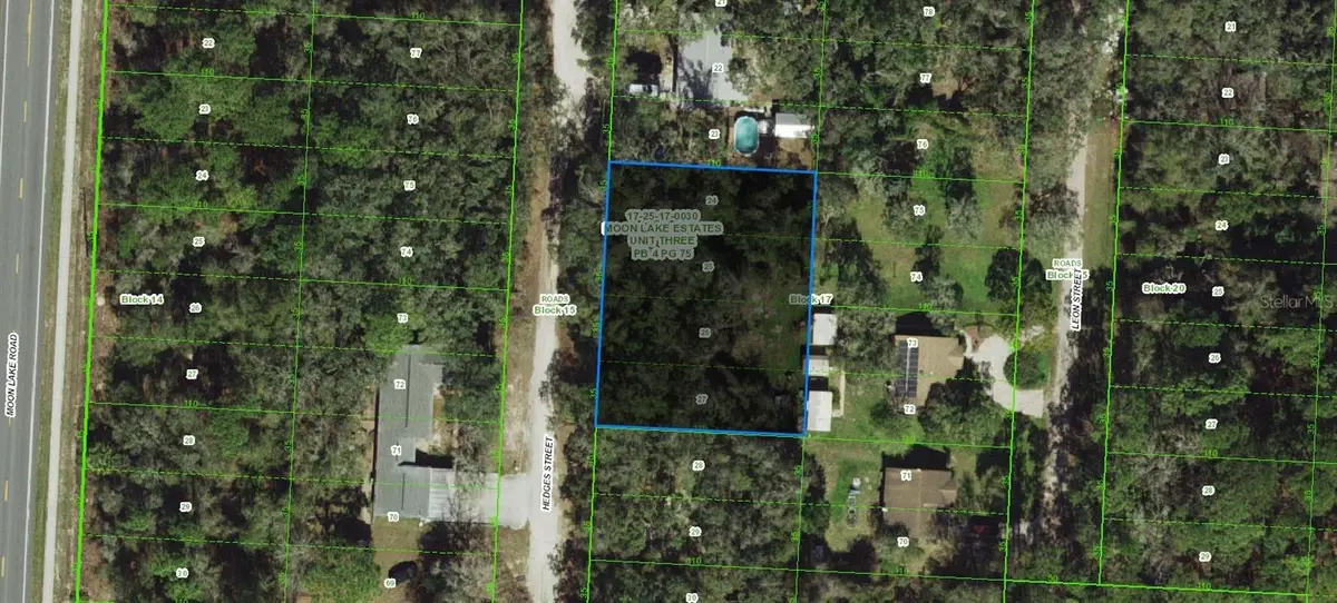 17-25-17-0030-01700-0240 Hedges Street, New Port Richey, FL 34654 - #1