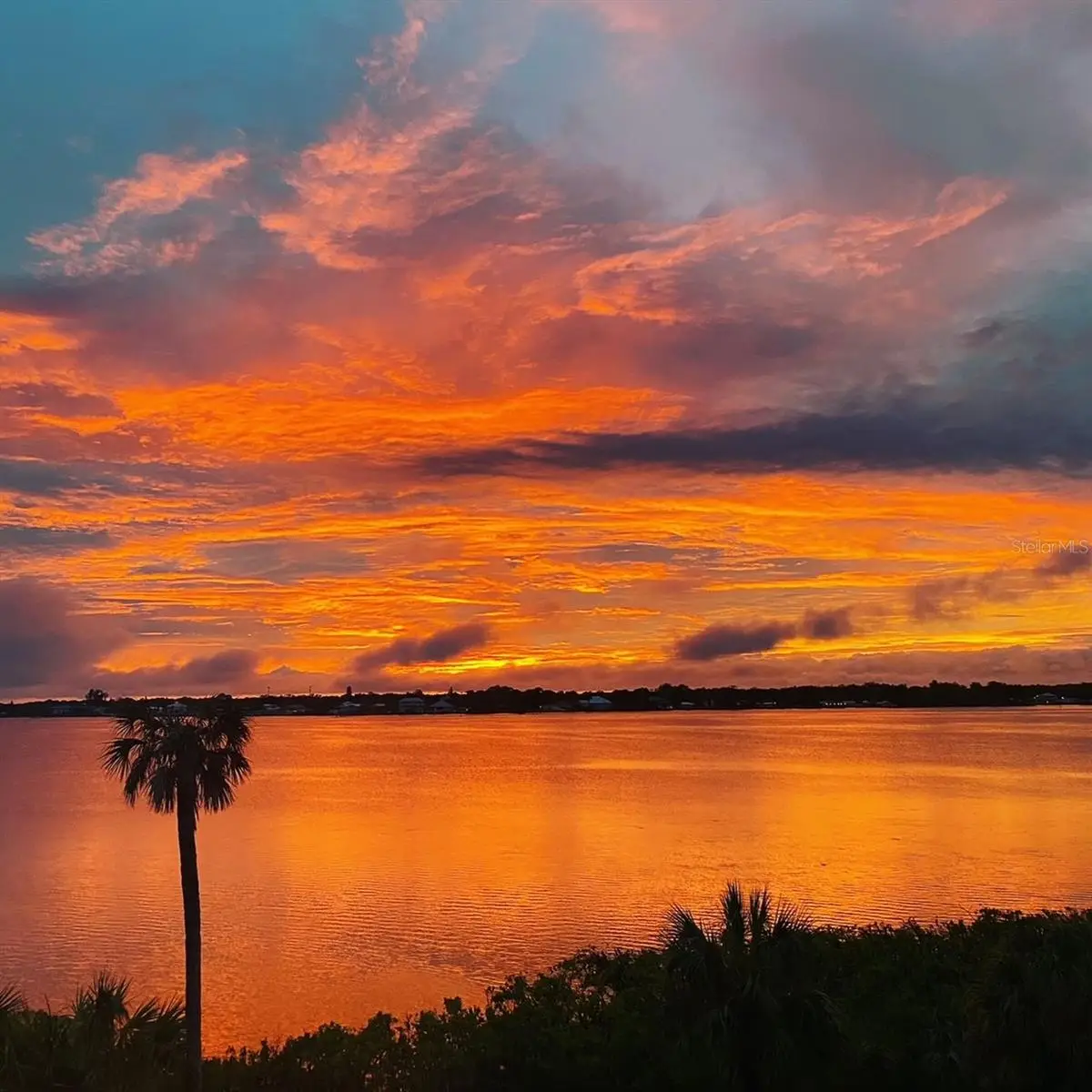 850 Tidewater Shores Loop #402, Bradenton, FL 34208 - #1