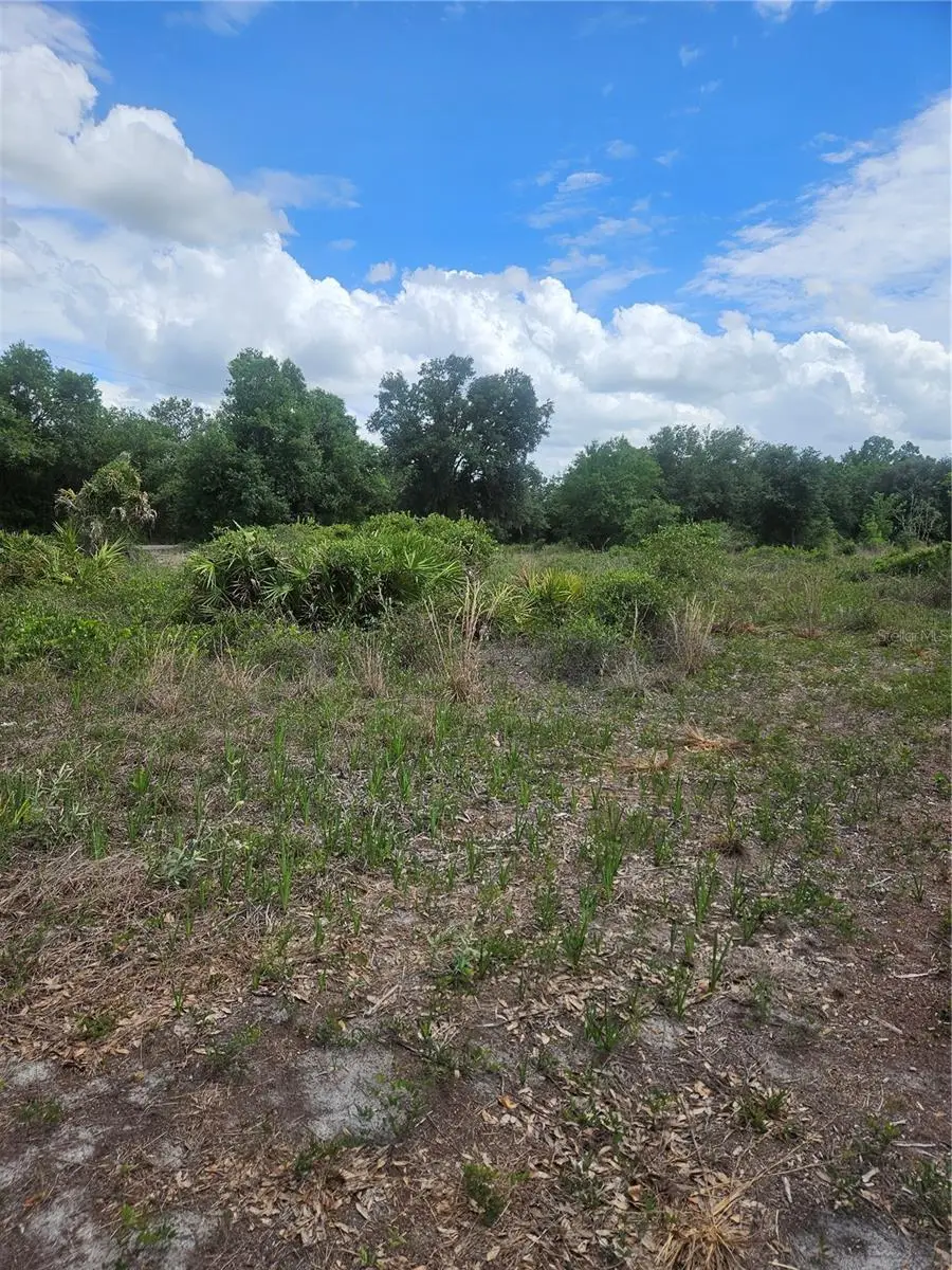 1865 NE Cross Avenue, Arcadia, FL 34266 - #3