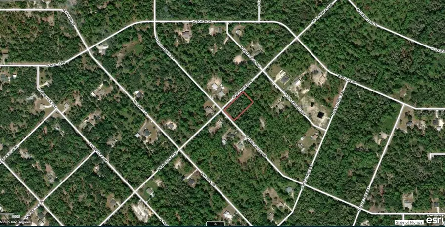11645 W Dragonhead Drive, Crystal River, FL 34428 - #2