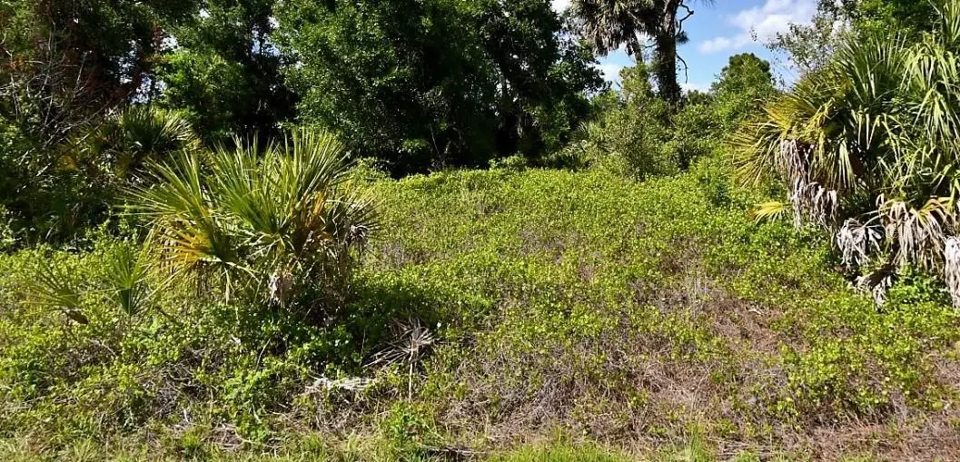 Roth Street, North Port, FL 34288 - #1