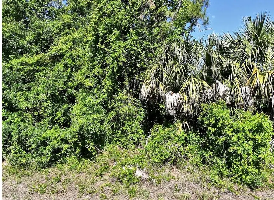 Guttenburg Road, North Port, FL 34288 - #3