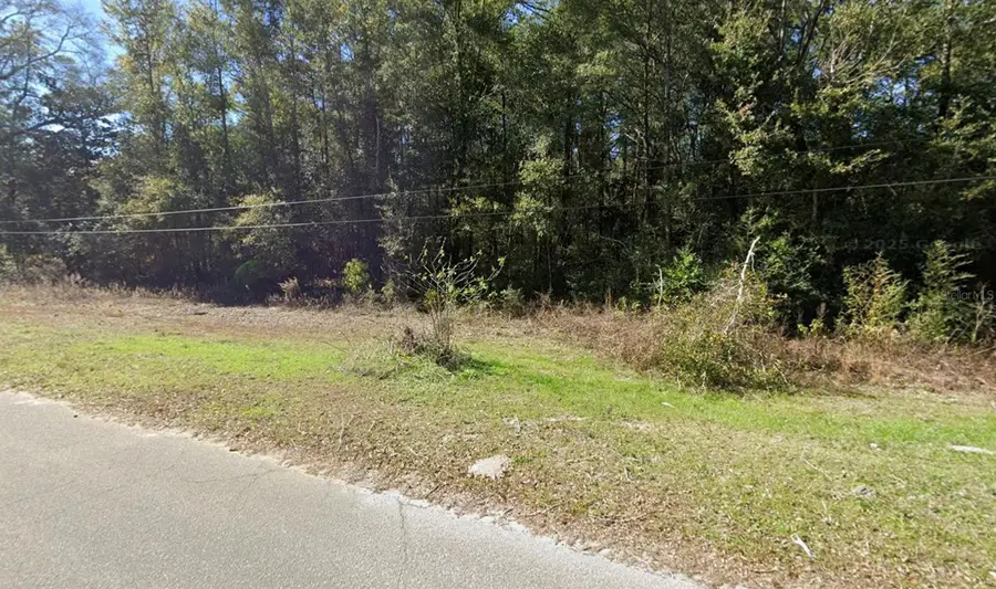 25-3N-19-19040-005-0050 N 4th Street, Defuniak Springs, FL 32433 - #3