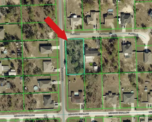 10480 Flycatcher Road, BROOKSVILLE, FL 34613