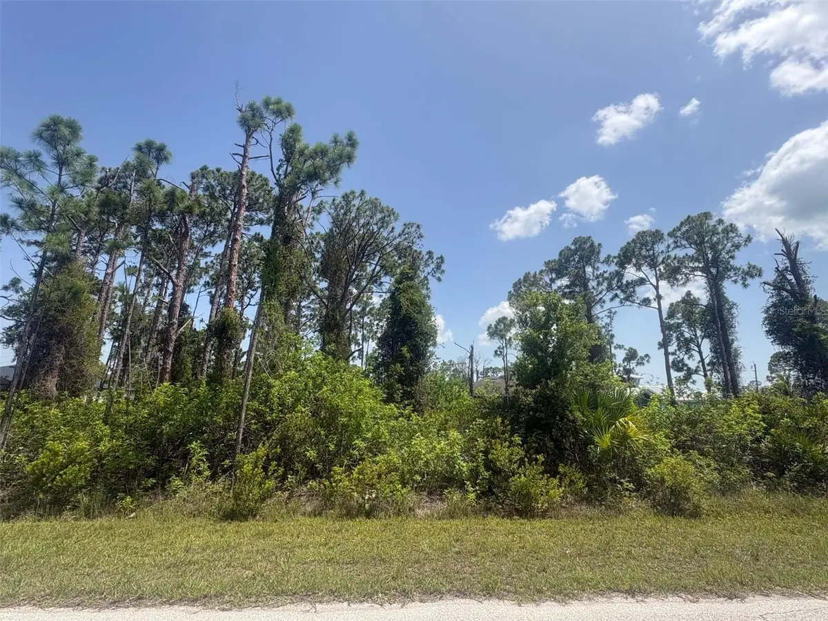 14201 Naylor Avenue, Port Charlotte, FL 33981 - #1
