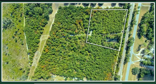 TBD Lot 36 Se Us 41 Hwy, WHITE SPRINGS, FL 32096