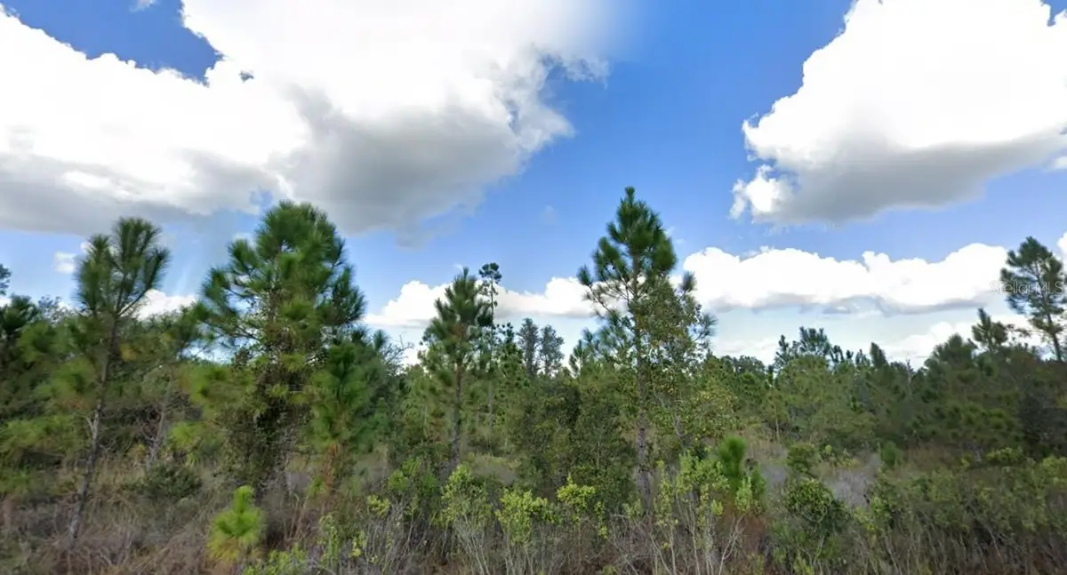 1017 Portulaca Drive, Indian Lake Estates, FL 33855 - #1