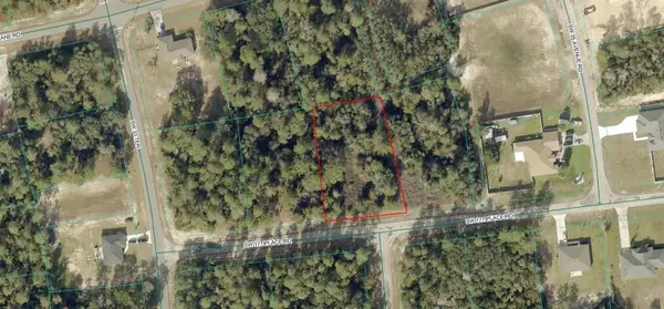 8006-0599-08 SW 177 Place Road, OCALA, FL 34473