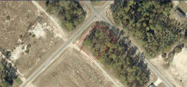 8009-1154-01 SW 155 Street Road, OCALA, FL 34473