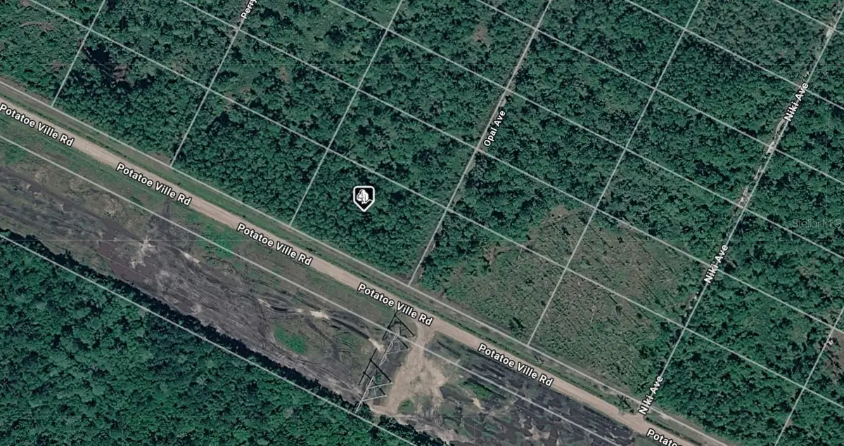 21-10-28-2775-00050-0602 Potatoville Road, Hastings, FL 32145 - #1