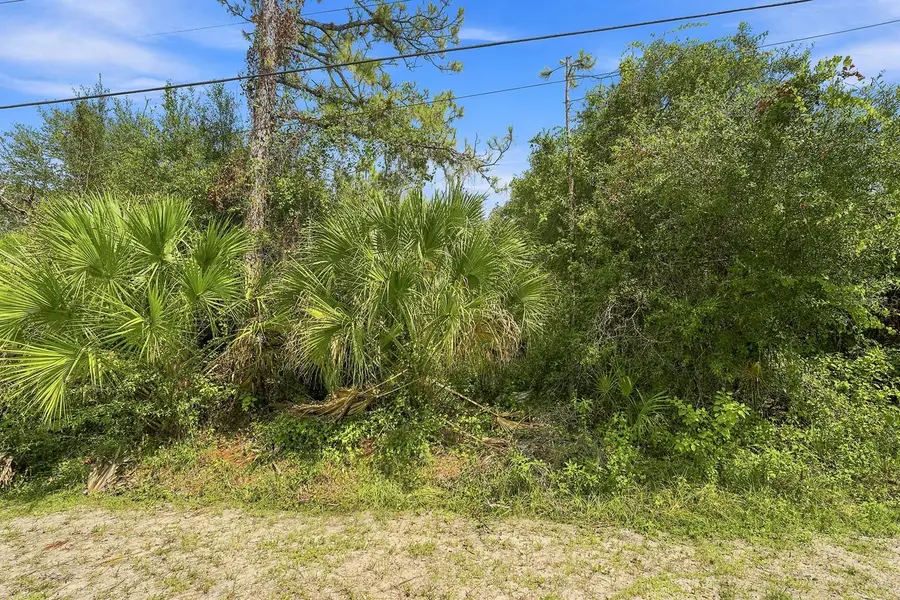 Henderson Lane, North Port, FL 34286 - #3
