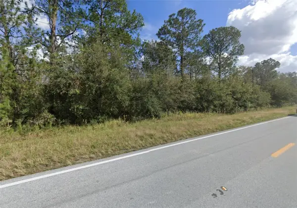 Old Grade Road, POLK CITY, FL 33868