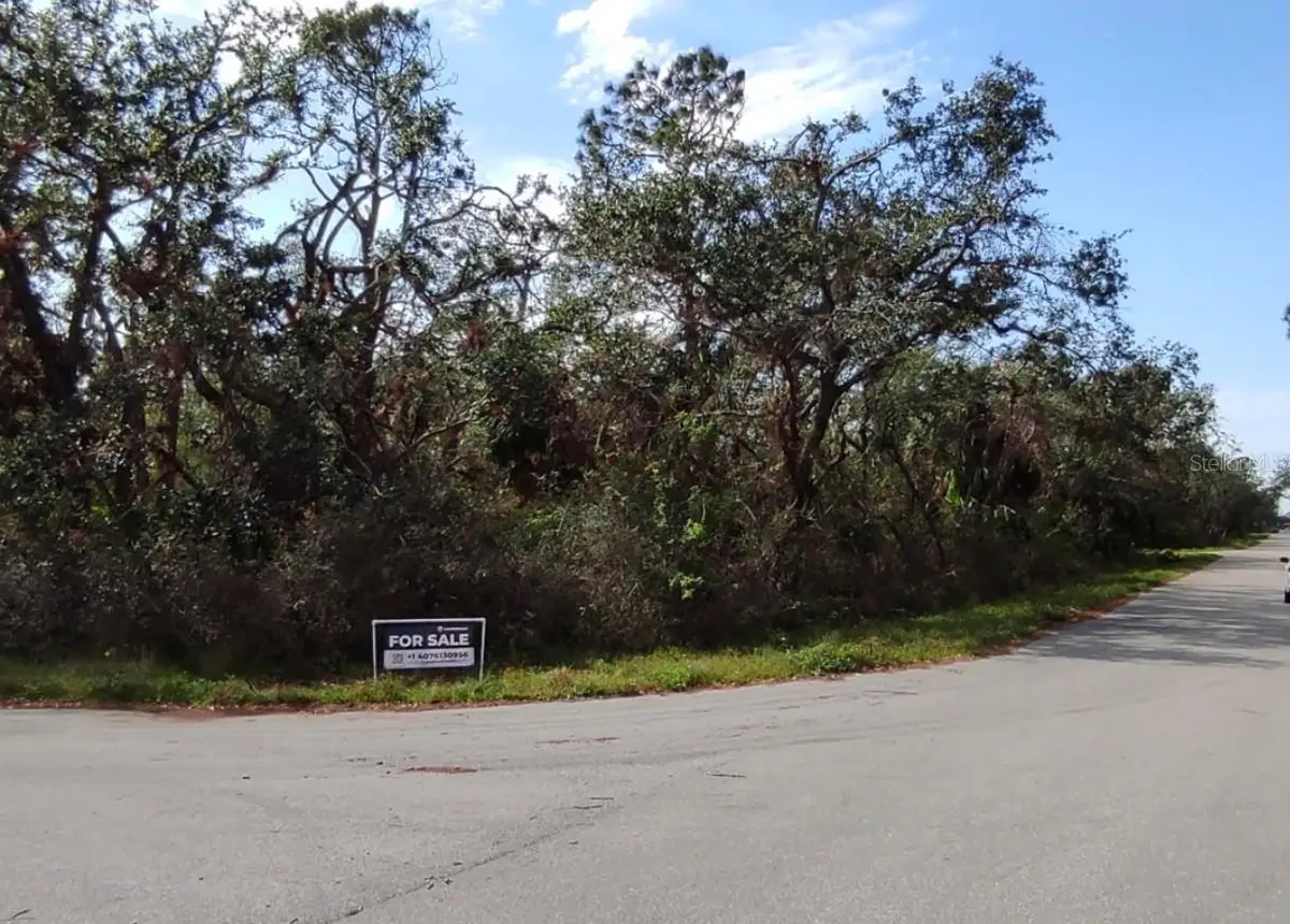 13381 Doubleday Avenue, Port Charlotte, FL 33953 - #1