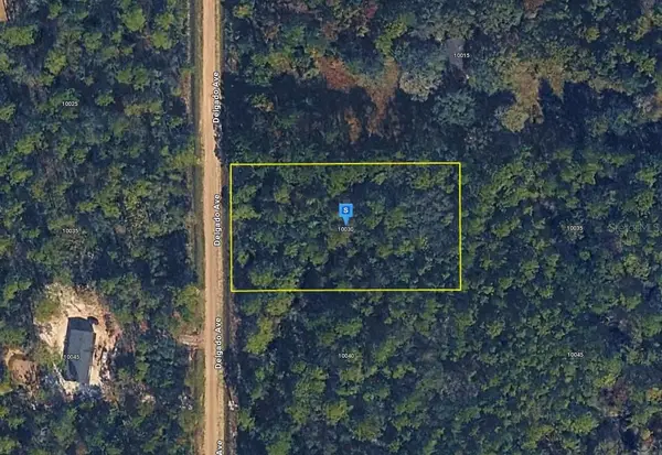 10030 Delgado Avenue, HASTINGS, FL 32145