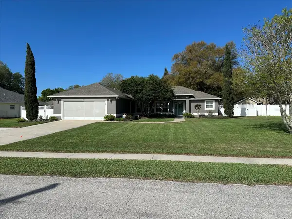 417 Anderson Drive, TAVARES, FL 32778