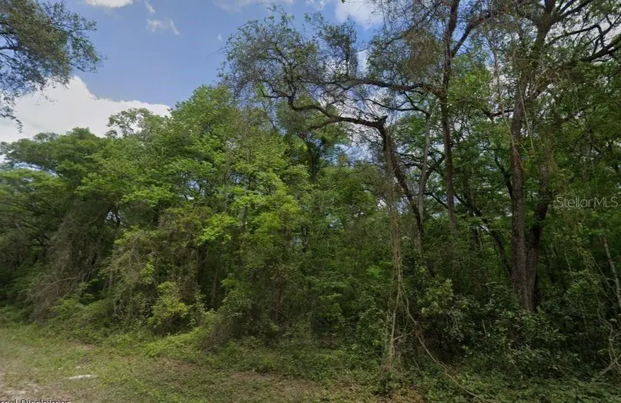 NE 644th Ave, Old Town, FL 32680 - #3