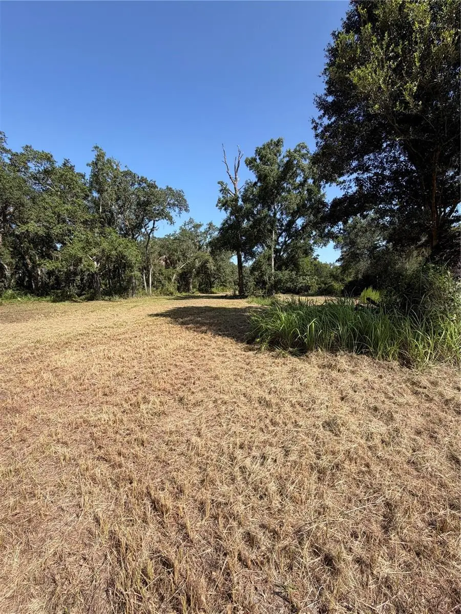 8671 SW Deer Trail, Arcadia, FL 34266 - #3