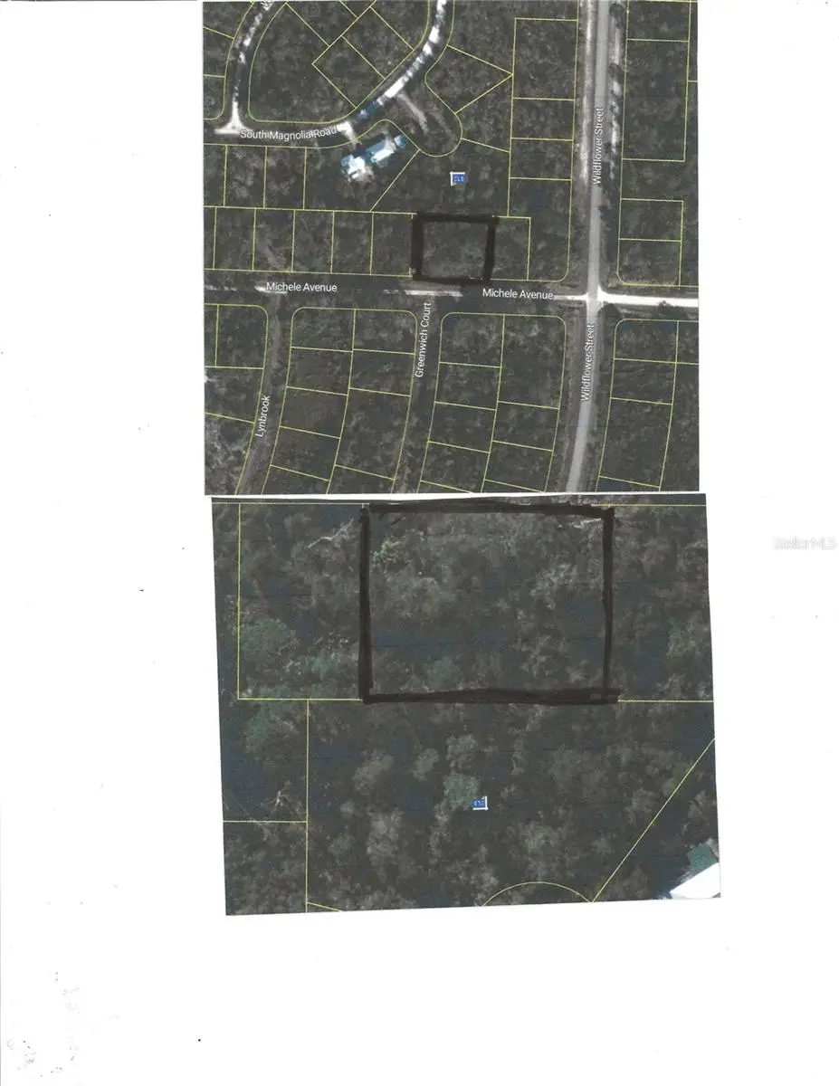 3205 Michele Avenue, Lake Placid, FL 33852 - #1
