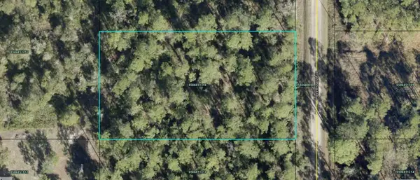 10515 Hennessey Avenue, HASTINGS, FL 32145