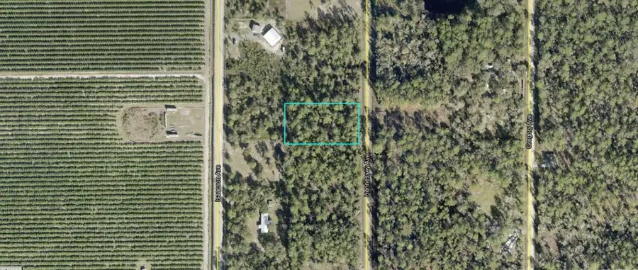10515 Hennessey Avenue, Hastings, FL 32145 - #2