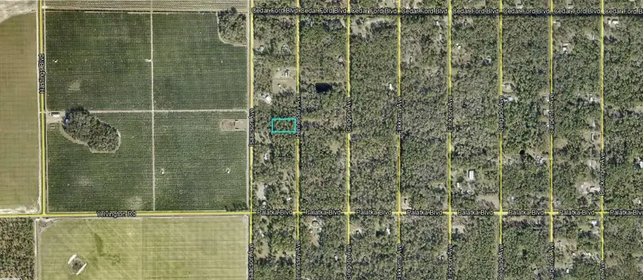10515 Hennessey Avenue, Hastings, FL 32145 - #3