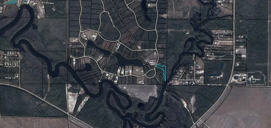 603 Wide Water Circle, Wewahitchka, FL 32465 - #2