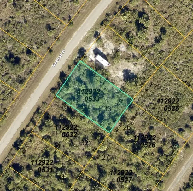 Blueleaf Drive, North Port, FL 34288 - #3