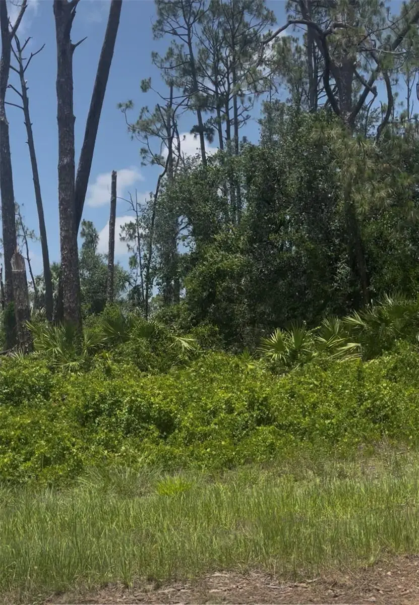 Tepee Avenue, North Port, FL 34291 - #1