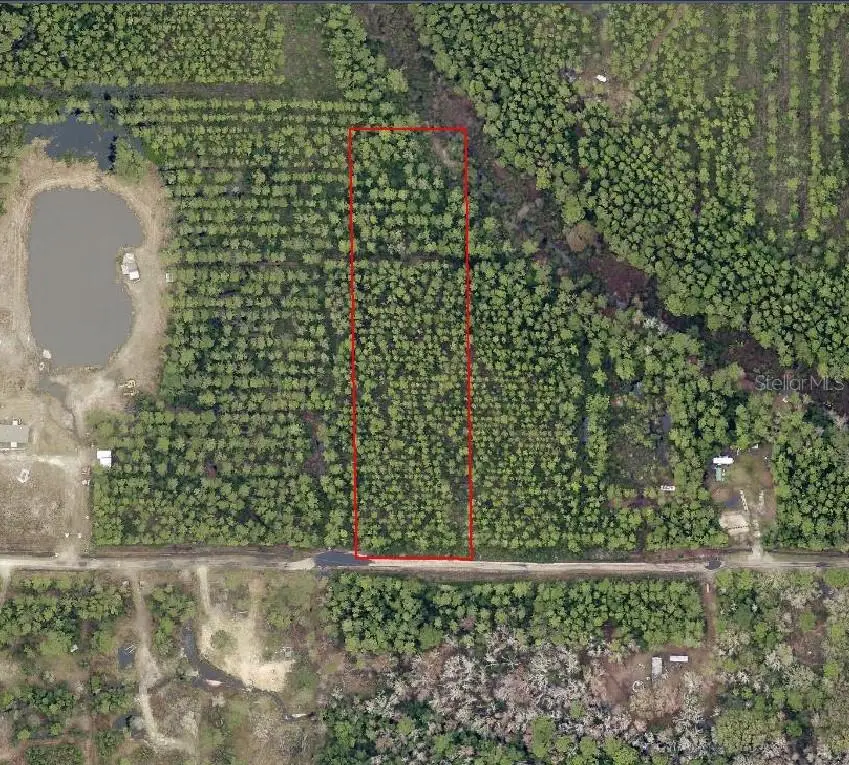 NE 215th Street, Fort McCoy Anthony, FL 32134 - #1