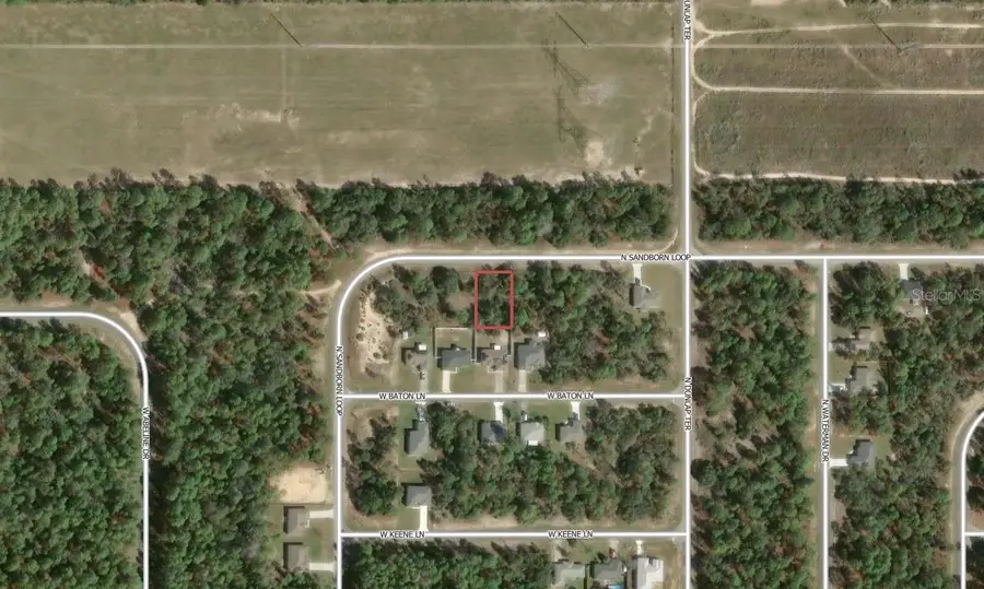 6785 N Sandborn Loop, Citrus Springs, FL 34433 - #2
