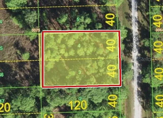 12353 Ripple Drive, Punta Gorda, FL 33955 - #1