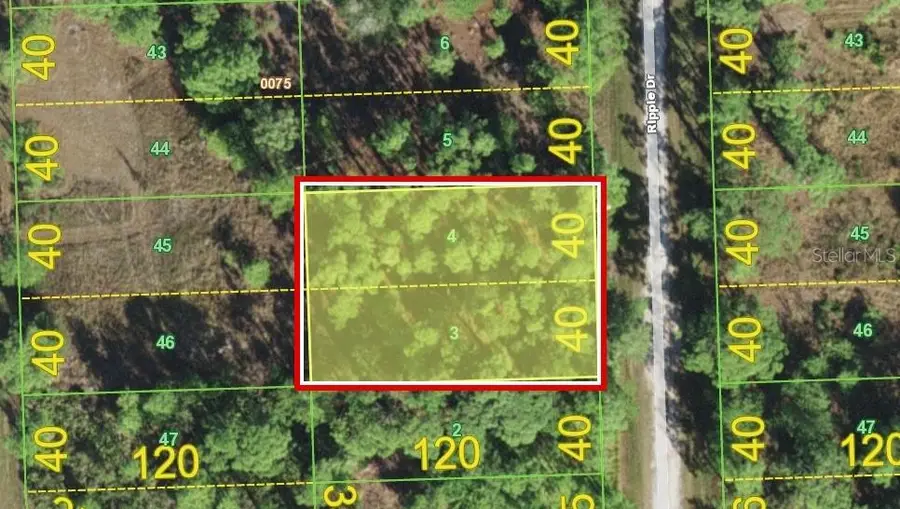 12353 Ripple Drive, Punta Gorda, FL 33955 - #3