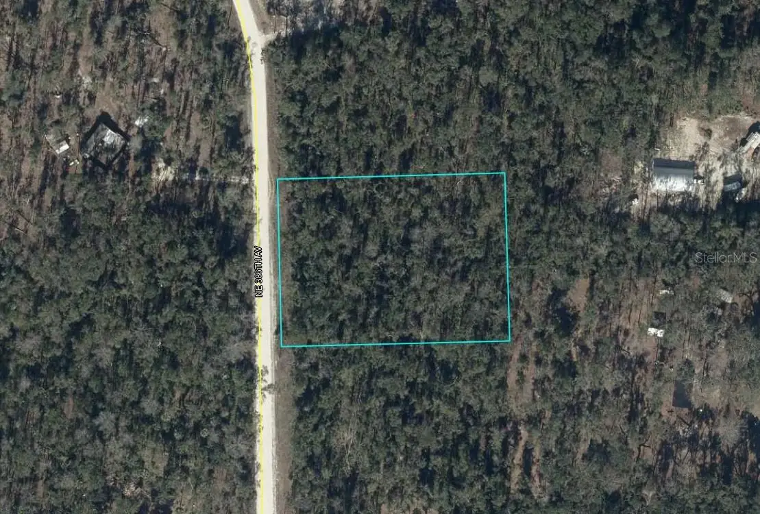 NE 386th Avenue, Old Town, FL 32680 - #1
